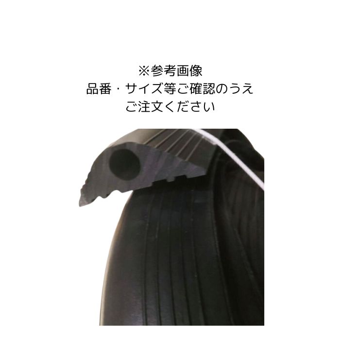 �Ÿ������ɥץ��ƥ������ʹ��� ��¦�20��10m��