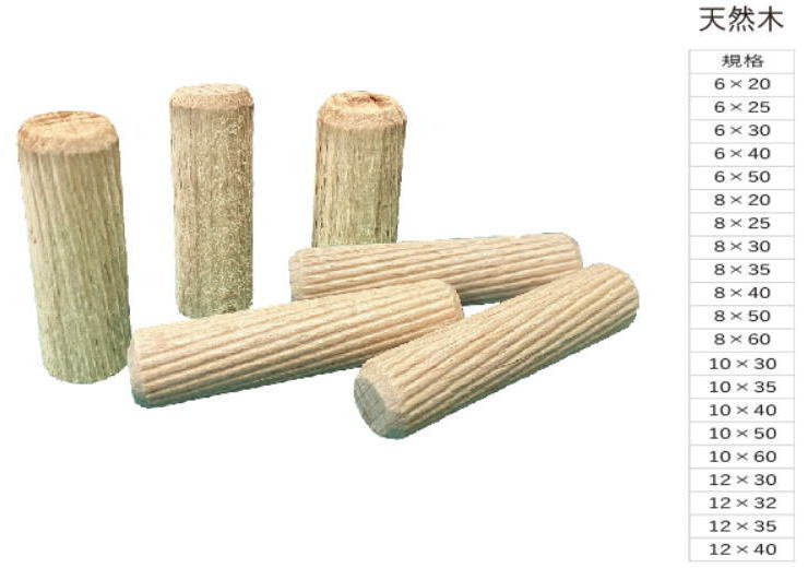 եƥåѥ ڥ 620(10)(4964585205341) 866256