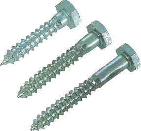 ��å� �������ܥ�� 12mm��65mm 50����