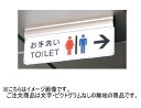 神栄ホームクリエイト(新協和) SK-PLS20-2T アクリル誘導サインプレート(吊下型) LED内照式 無地(4)