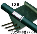 デュポン グリーンビスタプロ GV-136J2.0P 防草シート/砂利下シート 2m×50m(プラピン100本付)
