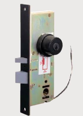 GOAL ゴール P-EGLD54 BS45 DT35～45 2線式門扉用本締電気錠