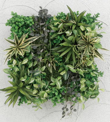 タカショー GD-203A (33167301) 壁面アレンジA ドラセナ 光触媒（受注生産） 30×30cm（代引不可商品）