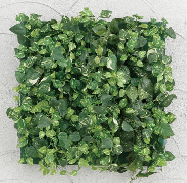 タカショー GD-203B (33168000) 壁面アレンジB ミニポトス 30×30cm