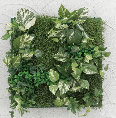 タカショー GD-203D (33170300) 壁面アレンジD ポトス 30×30cm