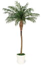 タカショー GD-229 フェニックス 光触媒 2.5m (人工観葉植物) 21773101 ※直送/個人宅不可