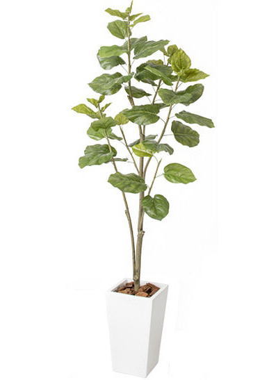 タカショー GD-230S ウンベラータ 光触媒 1.8m (人工観葉植物) 33384401 ※直送／個人宅不可