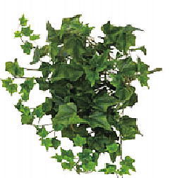 タカショー GN-95 リアルアイビー ブッシュ 光触媒 (人工観葉植物) 21678901