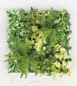 タカショー GD-201JF 33540400 壁面アレンジJ ファーン 45×45cm フレーム付