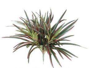 タカショー GN-69R ヤブラン レッド