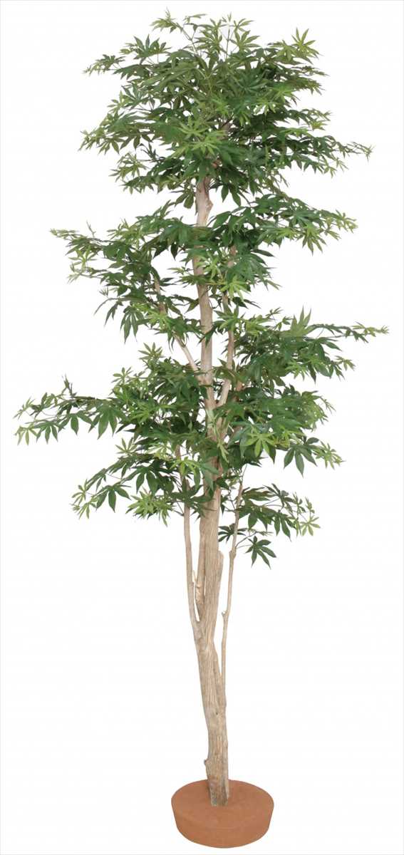 タカショー GD-191L もみじ鉢無 1.8m ※直送／個人宅不可