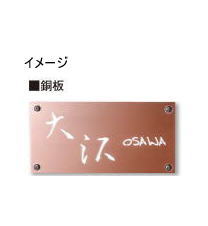 タカショー DCP-04 ディーサイン メタル 100×200 銅板 100V