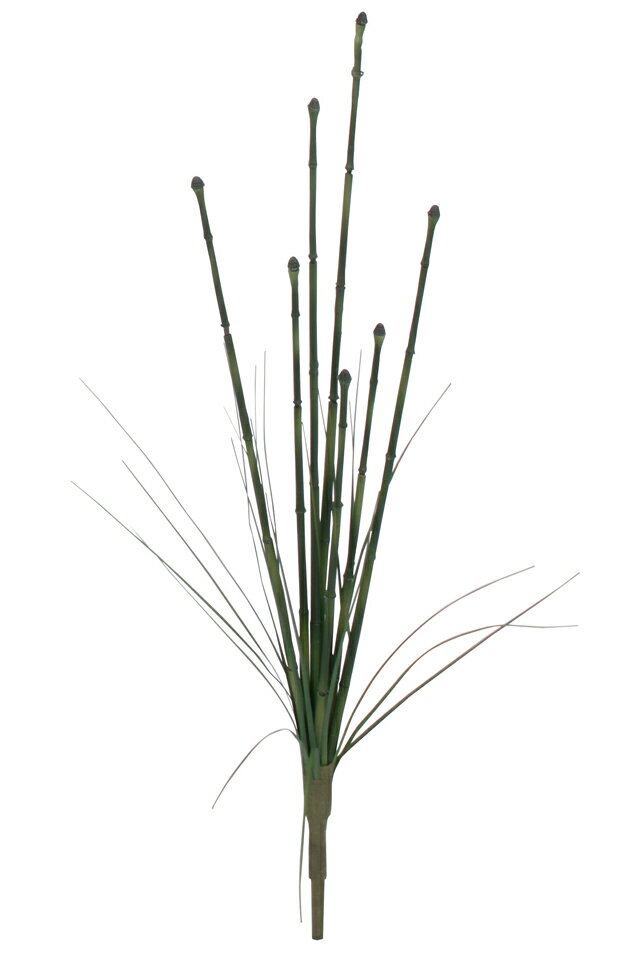 タカショー GN-80 トクサ