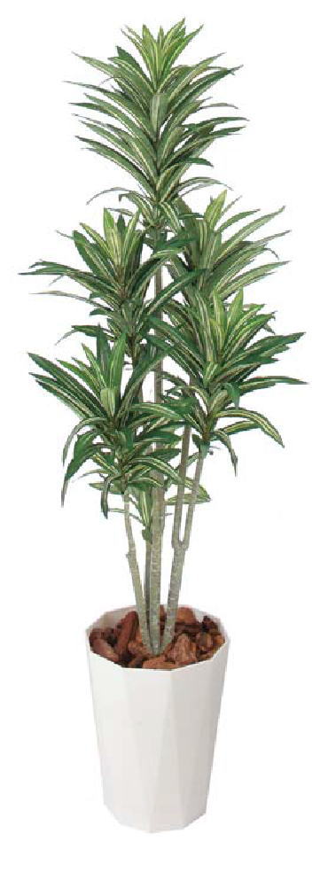 タカショー GD-187 ドラセナ 光触媒 ※直送／個人宅不可