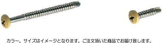 (送料無料)タカショー TB-25K スーパードリルネジ 4×25 焼