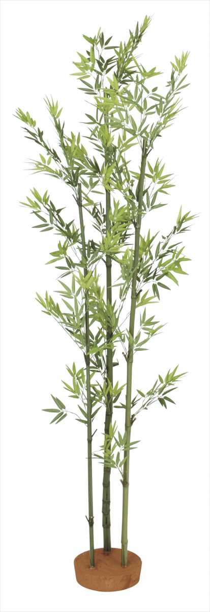 タカショー GD-22S 青竹3本立 鉢無 1.5m 光触媒 ※直送／個人宅不可