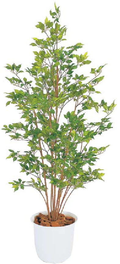 タカショー GD-120G ベンジャミン グリーン 鉢付 光触媒 ※直送／個人宅不可