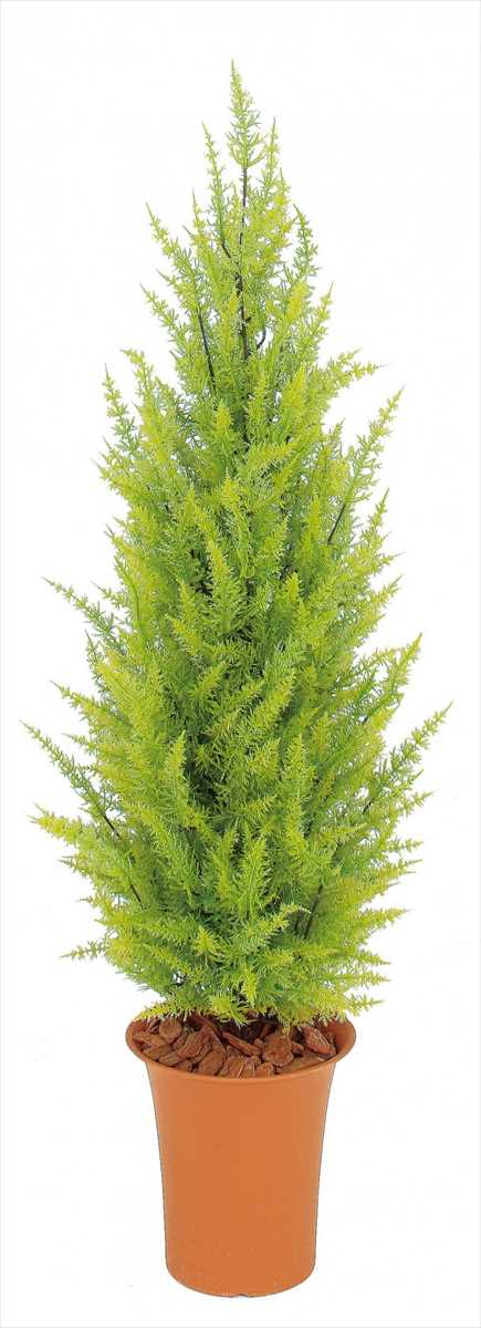 タカショー GD-188 ゴールドクレスト ゴールド 光触媒 ※直送／個人宅不可