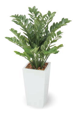 タカショー GD-211 ニューザミア 1.0m 1.0m ※直送／個人宅不可