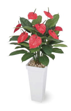 タカショー GD-214 アンスリューム 0.9m 光触媒 0.9m