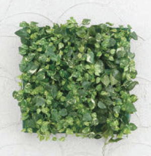 タカショー GD-201BF 33533601 壁面アレンジ Bセットのフレーム付 光触媒