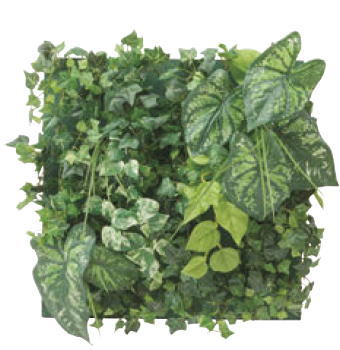 タカショー GD-201FF 33537401 壁面アレンジ Fセットのフレーム付 光触媒