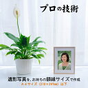 【最大2000円クーポン&P2倍】遺影 作成 プリント仕上げ ピント シミ シワ 修正 制作 遺影写真 葬儀写真 肖像写真 慰霊写真 生前遺影 葬式の写真 終活...