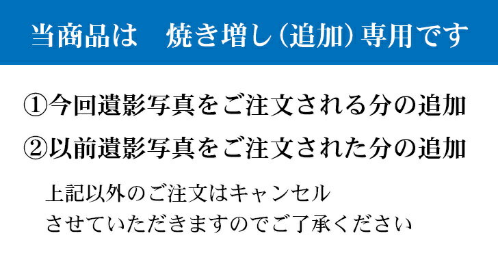 【追加注文用】七五サイズプリント（305×410mm） 作成したお写真の焼き増し