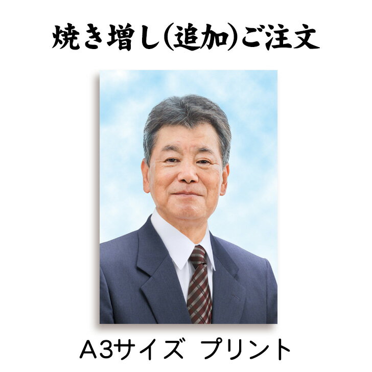 最大2000円クーポン 【追加注文用】A3サイズプリント（297×420mm） 作成したお写真の焼き増し