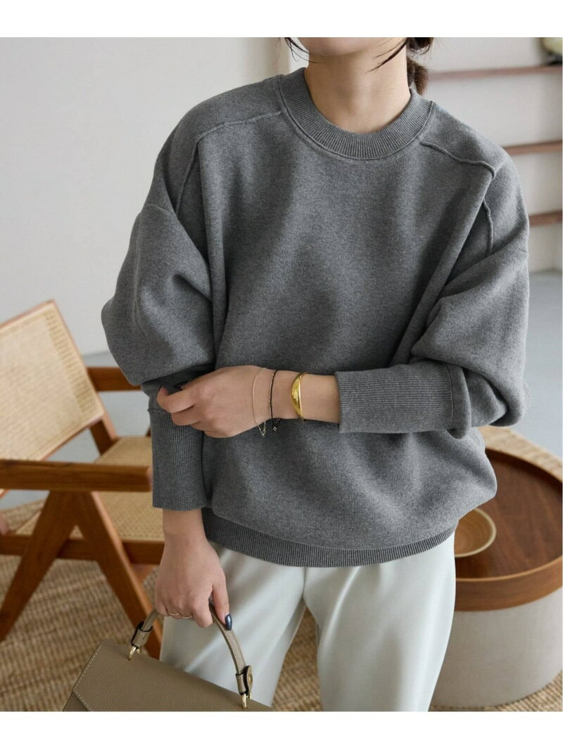 《WEB限定/追加2》オーバーサイズ スウェットライクニット SLOBE IENA スローブ イエナ トップス ニット グレー ベージュ ブルー ワインレッド【送料無料】[Rakuten Fashion]のサムネイル