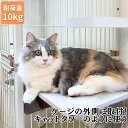 セールP3倍！クーポン有│猫 ケージ ステップ 猫ステップ板 ieneko 猫ケージ専用 スリムタイプ 横幅35cm 奥行20cm