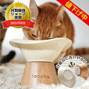 猫 フードボウル 15度傾斜 高さがある セラミック 陶器 食べやすい 吐き戻し防止 猫用食器 猫皿 犬猫兼用 犬 餌入れ 食器台 電子レンジ可 皿と土台が分か...