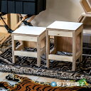 新・図工室のイス 300 椅子 踏み台 スツール stool ベンチ 木製 収納 椅子 工作 雑誌収納 踏み台 オリジナル イエノLabo イエノラボ