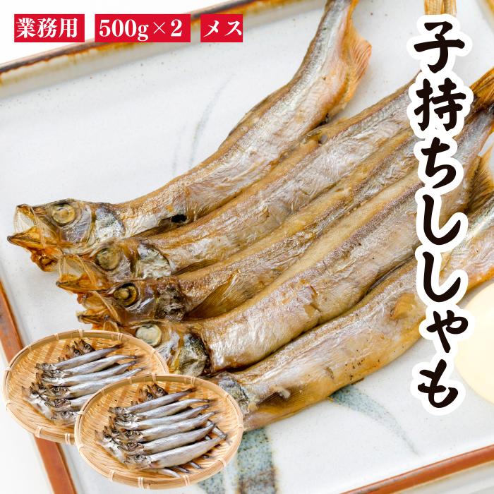 ししゃも シシャモ 子持ちししゃも 1kg(500g×2袋 100尾入) ししゃも メス 普段使い 便利なバラ凍結 送料無料 ギフト 母の日 父の日 お中元 お祝い お礼 のしシール対応