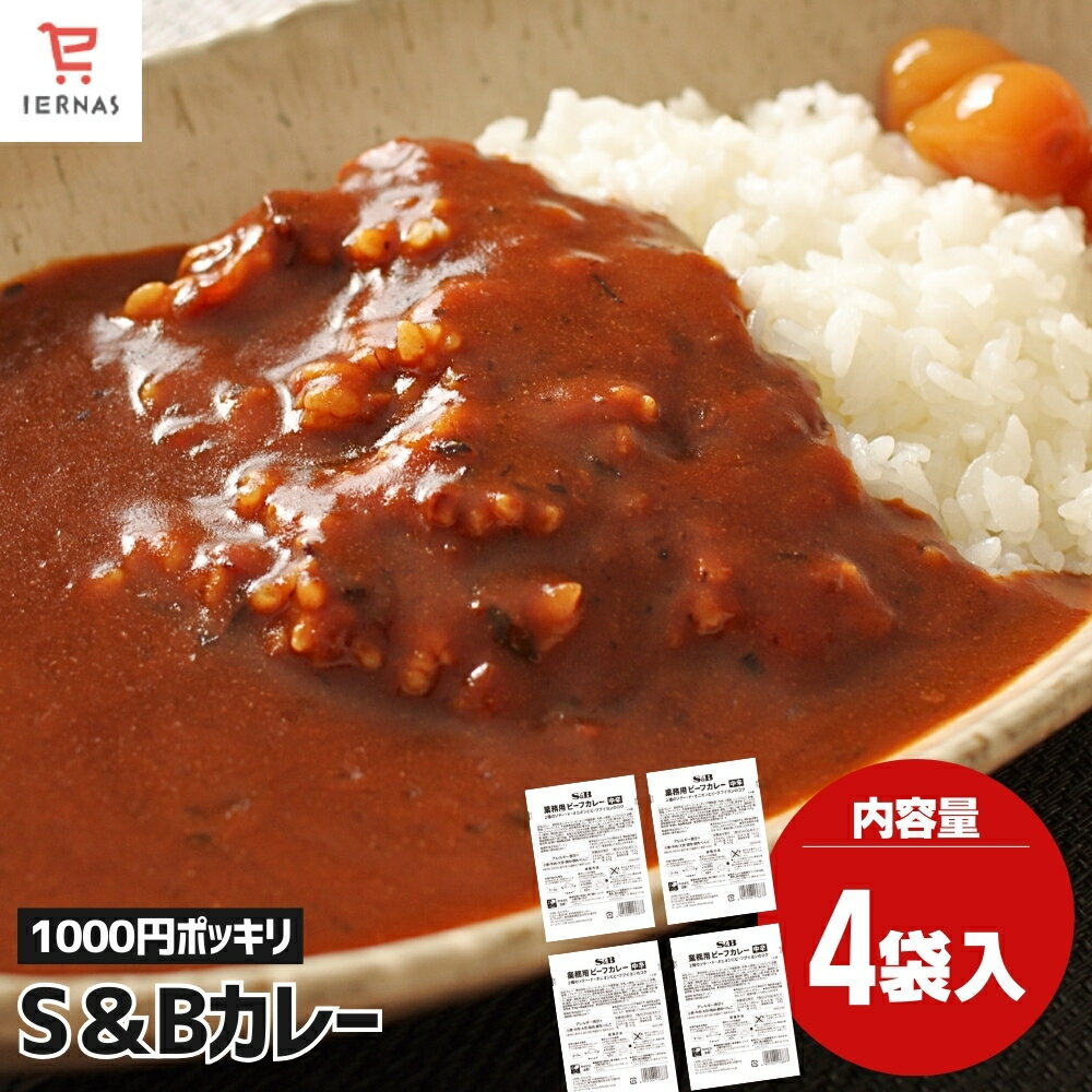 1,000円ポッキリ 送料無料 カレー レ�