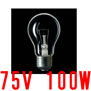 פ결ŵ塡ѿŵ (ѿŵ) | (ޤȤ100) ꥢ 75V 100W E26ڲѾۡŹۡϪŷۡڥ٥ȡۡǮŵۡڲⲰѡۡڴեۡڥѡSALEߥѡߤ㤤ʪޥ饽ߥݥȥåס