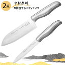 【着後レビューでプレゼント】包丁 果物ナイフ 包丁セット 万能包丁 ペティナイフ セット ステンレス 中村孝明 キッチン用品 台所用品 使いやすい 手になじむ ...