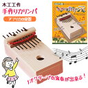 木工工作 カリンバ 楽器 演奏 指ではじく 音 アフリカ 自由研究 夏休み 宿題 工作 組み立て 小学生 子供 工作キット 手作り 図工 図画工作 集中力 創造力 自由工作キット お家時間 加賀谷木材【▲】/木工工作手作りカリンバ