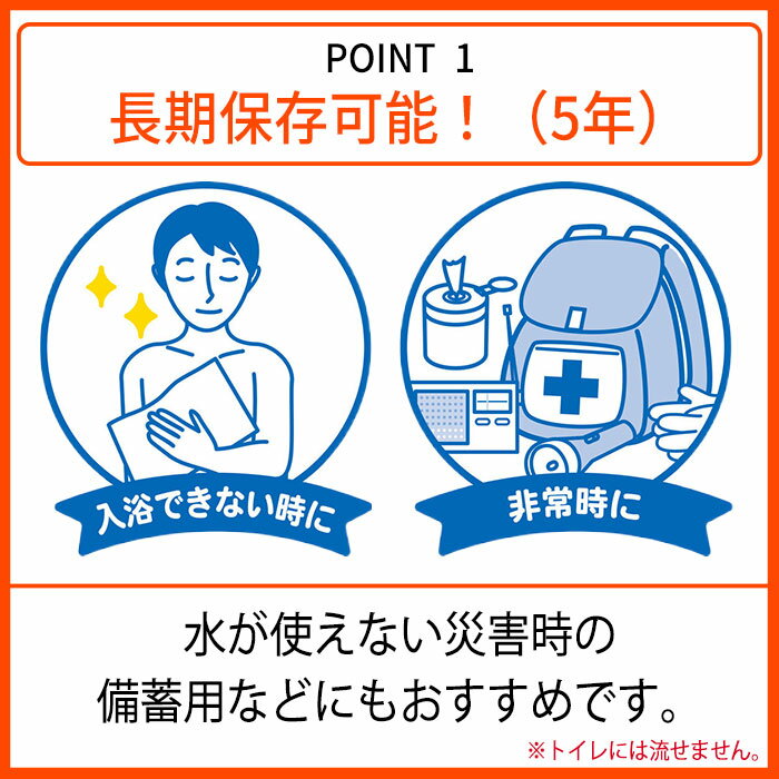 ボディシート 身体拭き からだふき ボディタオ...の紹介画像3