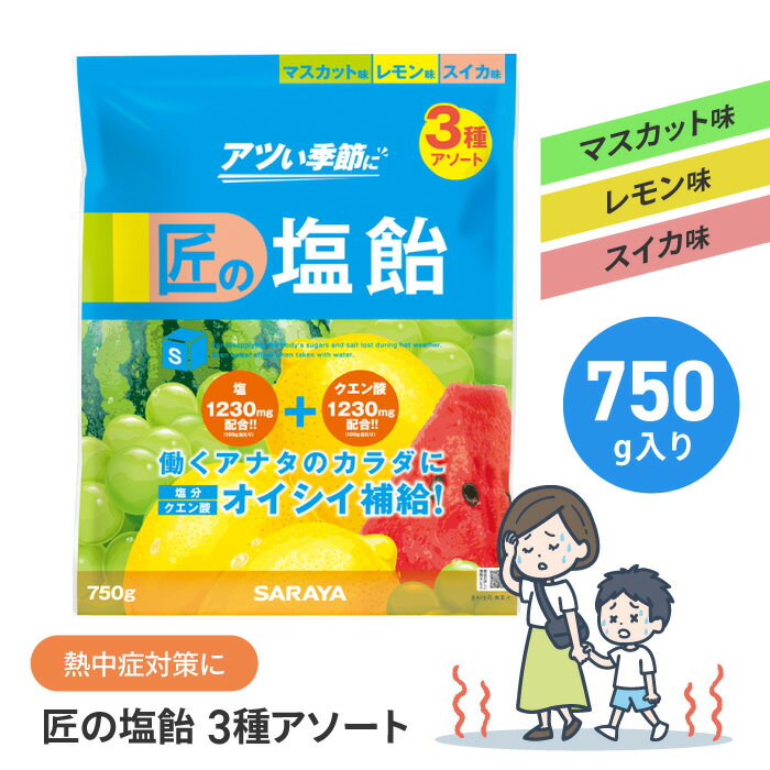熱中症対策 熱中症予防 熱中症 熱射病 匠の塩飴 匠 個包装 オイシイ 3種 マスカット味 スイカ味 レモン味 クエン酸 塩分 塩分チャージ 糖分チャージ 【☆60】【FDC】/匠の塩飴MLS3種アソート