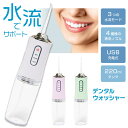 【着後レビューでプレゼント】デンタルウォッシャー デンタルケア 口腔洗浄器 ホワイト ピンク グリーン 高圧水流 汚れ 奥歯 水流モード USB 歯周病 歯周病ケア 水圧弱め 強め 一定 噴射【☆60】/デンタルウォッシャー(4)