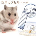 【着後レビューでプレゼント】 マルカン クリーンハウス 空中カプセル ハムスター お部屋 遊べる スローブ付き 小動物 ハムちゃん 中が見える 安心 安全 お気...