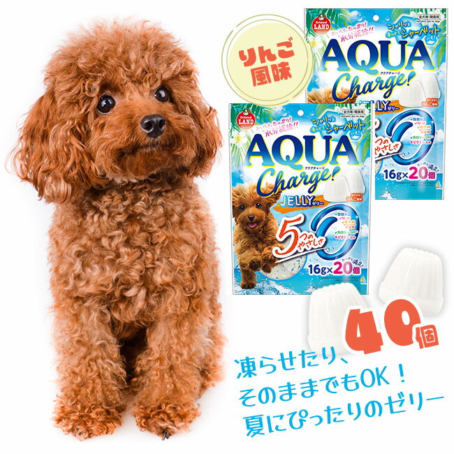 ドッグ おやつ 2袋 大容量 AQUA Charge JELLY たっぷり 満足 シャリシャリ 全犬用 間食用 脂肪分不使用 砂糖不使用 着色料不使用 カロリーOFF 低カロリー ビタミン配合/アクアチャージゼリー16g20個2袋