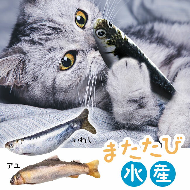 マルカン 猫じゃらし 猫用おもちゃ 魚 マタタビ水産 おさかな マタタビ入り 猫 ねこちゃん cat 運動 あそぶ 一人遊び リアル よろこぶ ねこ オモチャ 定形外郵便発送【△規格内】/またたび水産