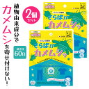 忌避剤 カメムシ忌避剤 2個セット 寄せ付けない カメムシ対策 カメムシ除去剤 吊り下げる 長く効く 長持ち 効き目 虫よけ ベランダ 玄関 窓 物干し竿 軒下 退治 追い払う 駆除 減らす 植物由来成分/さらばカメムシ2個セット