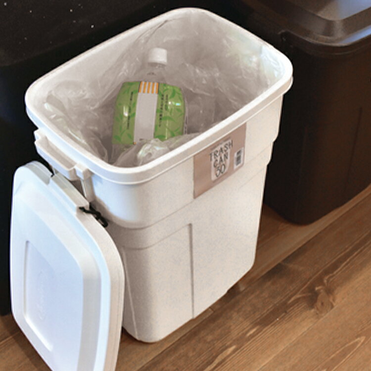 Rakuten - 【スーパーSALE中P5倍】ダストボックス 30L ゴミ箱 トラッシュカン 大容量 ダウンロック式 屋外 屋内 倉庫 樹脂 シンプル ナチュラル 日本製 スチール 収納 ごみ箱 コンパクト インテリア LFS-934【メーカー直送】【55】/トラッシュカン30L