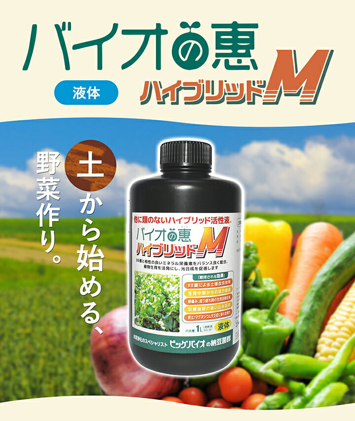 ビッグバイオ 土壌改良剤 バイオの恵 有機物分解 天然由来 BB菌 活力増進 生育回復...