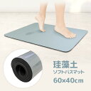 【着後レビューでプレゼント】バスマット 珪藻土 ソフトバスマット 足ふきマット 吸水 柔らか オシャレ 清潔 速乾 滑り止め加工 60×40cm さらさら アス...