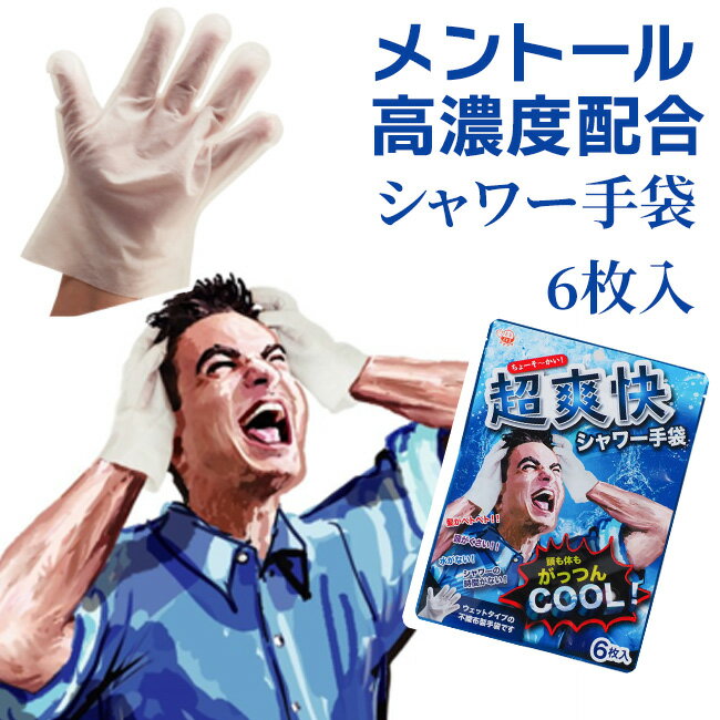 シャワー手袋 ウェットタイプ 不織布製 エチケット リフレッシュ サッパリ 気分転換 爽快 クール感 冷却 汗 スポーツ 防災用 避難時 災害 アウトドア キャンプ 入院時 介護/超爽快シャワー手袋6枚入のサムネイル