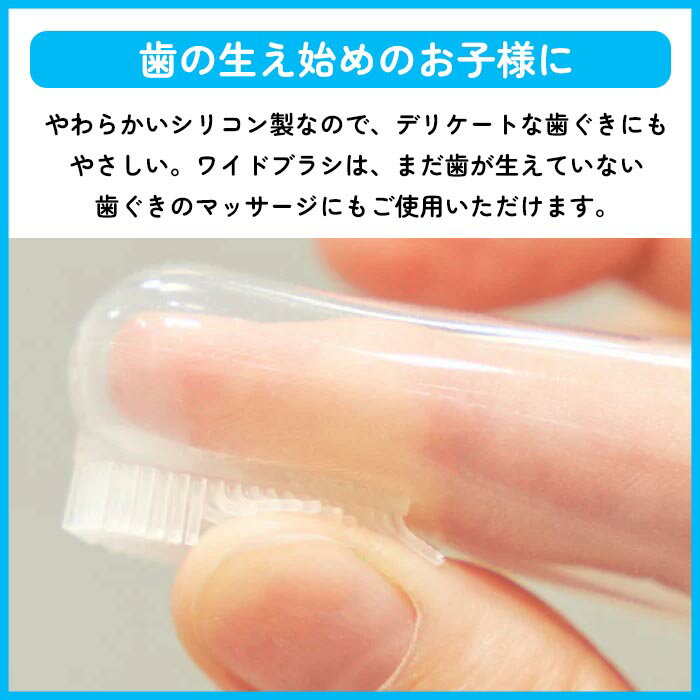 ���ꥳ����֥饷 �ػ��֥饷 �֤������ ���֥饷 �ؤˤϤ�륿���� ���ꥳ���� ��������ޥ� �٥ӡ��ѻ��֥饷 ���᤭ ����Ⱦǯ���� ����5���� �䤵���� �ڢ���/���ꥳ��ػ��֥饷